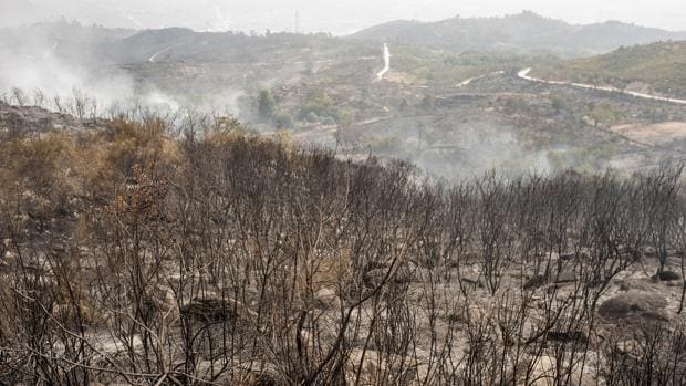 Tres incendios en Orense arrasan 900 hectáreas en «los peores días del año»