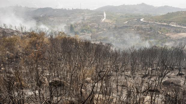 El área quemada en Chandrexa se aproxima a las 370 hectáreas