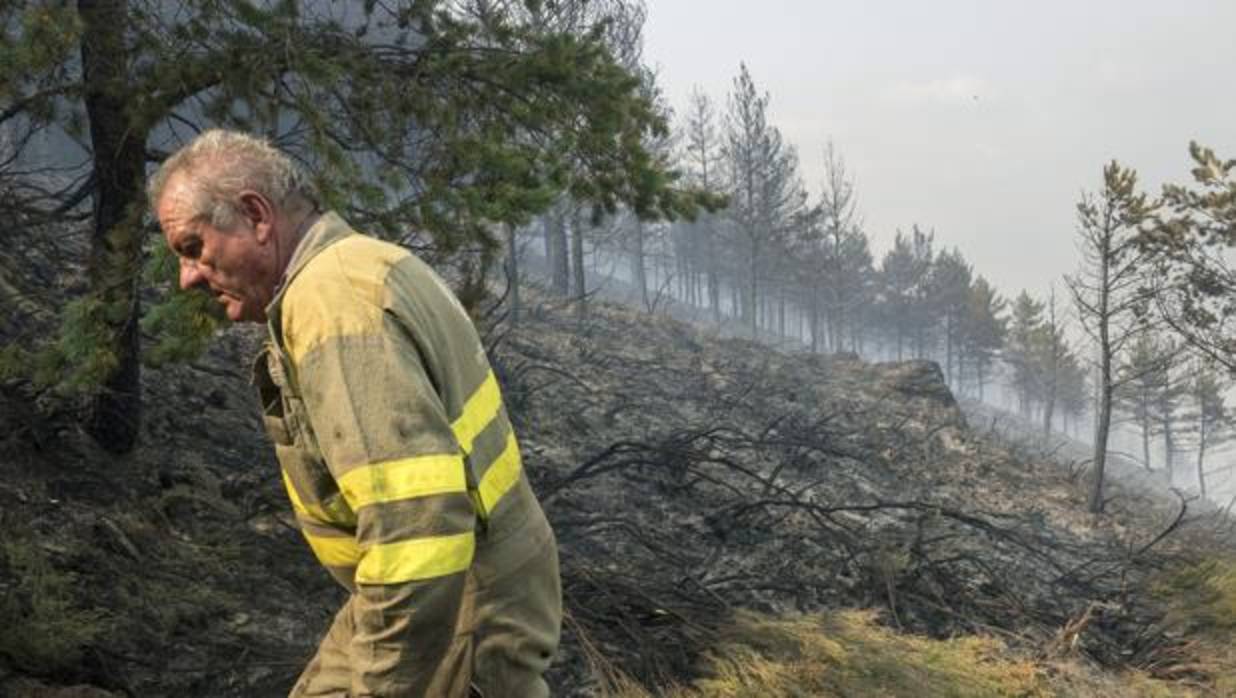 Un brigadista en el incendio de Cervantes