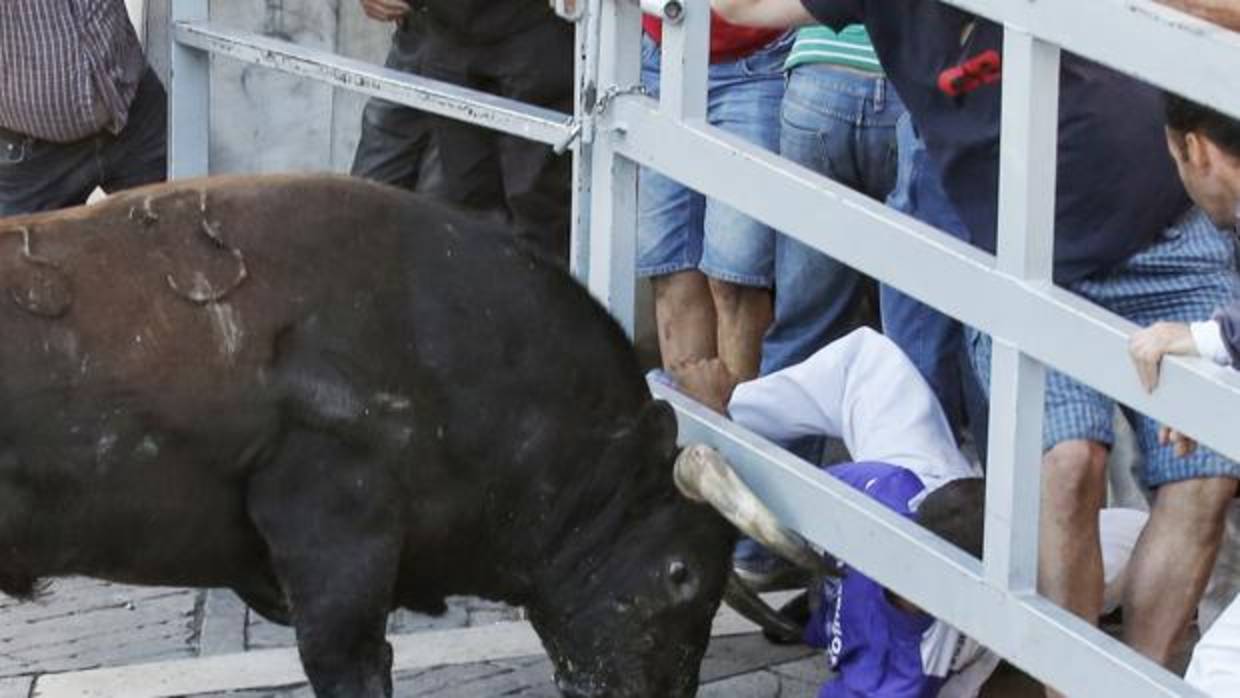 Cuarto encierro de las fiestas de Cuéllar con reses de la ganadería gaditana de Lagunajanda.