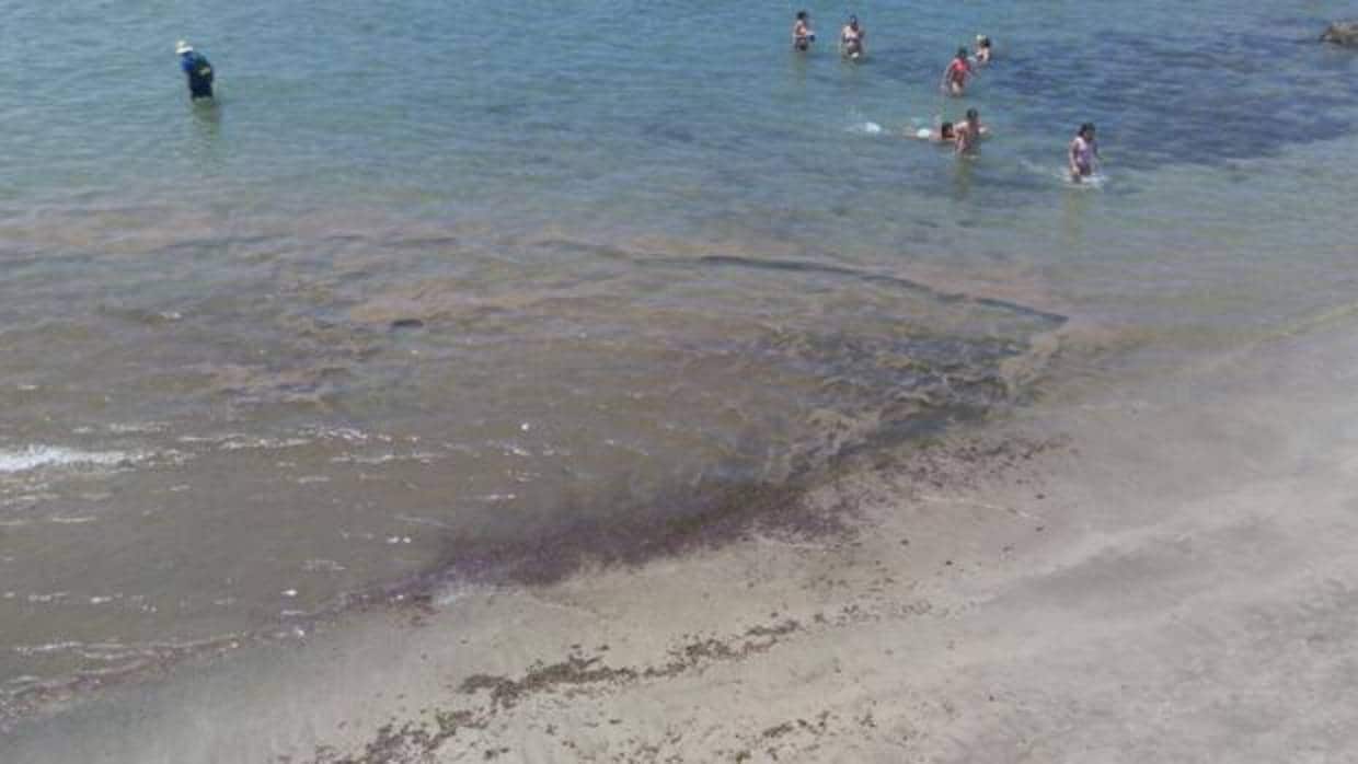 La marea se lleva el segundo caso de microalgas de Las Canteras de este verano