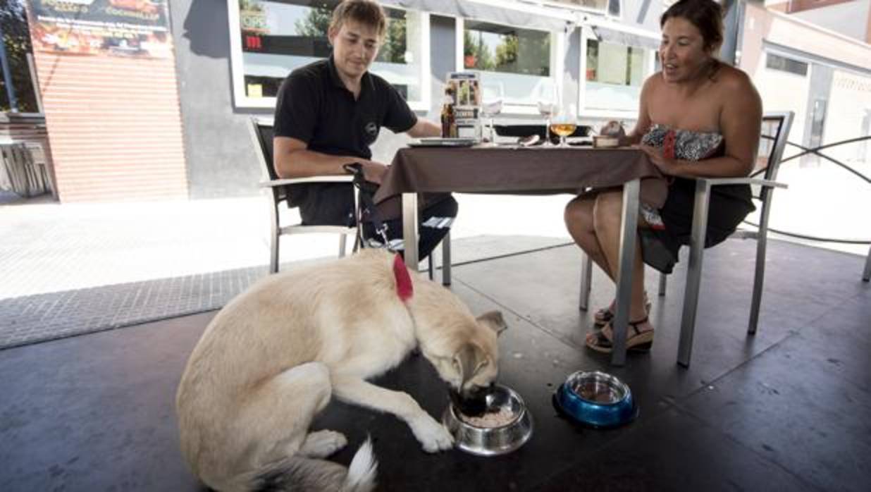 Una pareja con su mascota, en la mesa del local