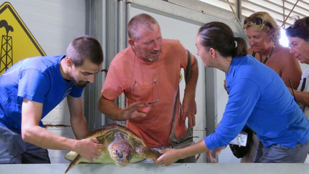 Cuatro amigos franceses salvan a una tortuga que había quedado enredada entre plásticos en alta mar