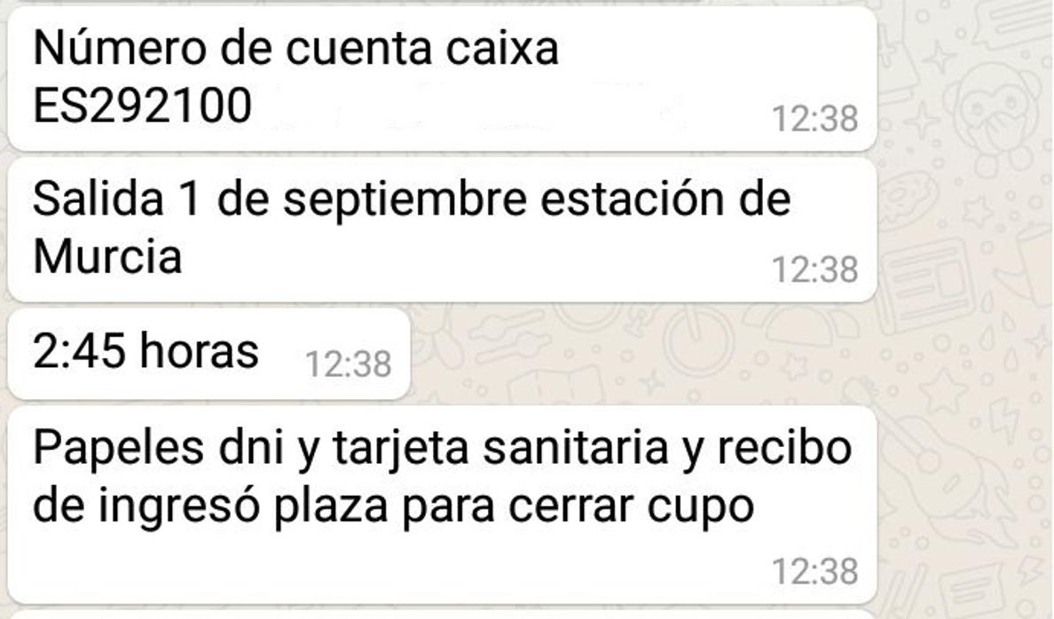 Captura de la converseción entre el supuesto estafador y un interesado en la oferta de la vendimia