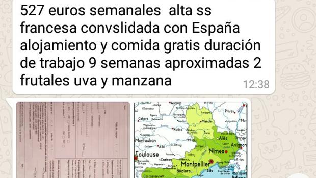 El acusado de ser «el estafador de la vendimia» dice que fue suplantado