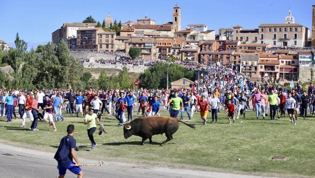 El Toro de la Vega deja un corneado en un festejo sin incidentes de orden público