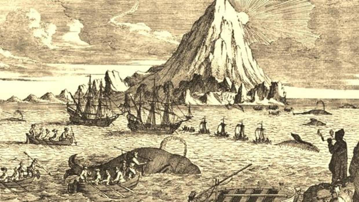 La industria ballenera hace 240 años en Canarias