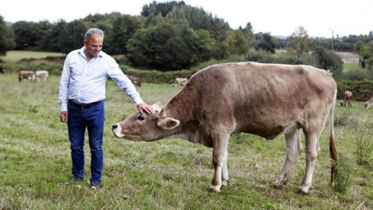 Luís Carrera, fundador de Arqueixal, junto a una de sus vacas