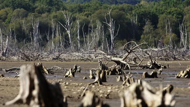 La Aemet pronostica un otoño más caluroso tras un verano seco