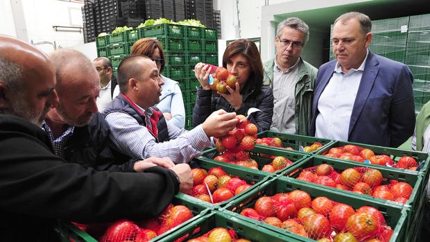 Una marca certificará la calidad de los productos de la huerta gallega