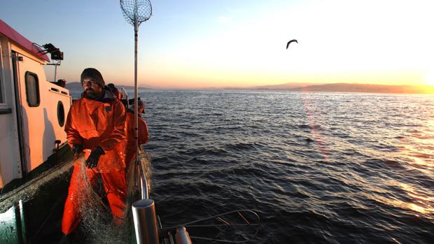 Petróleo, gas y minería submarina amenazan a la flota pesquera gallega