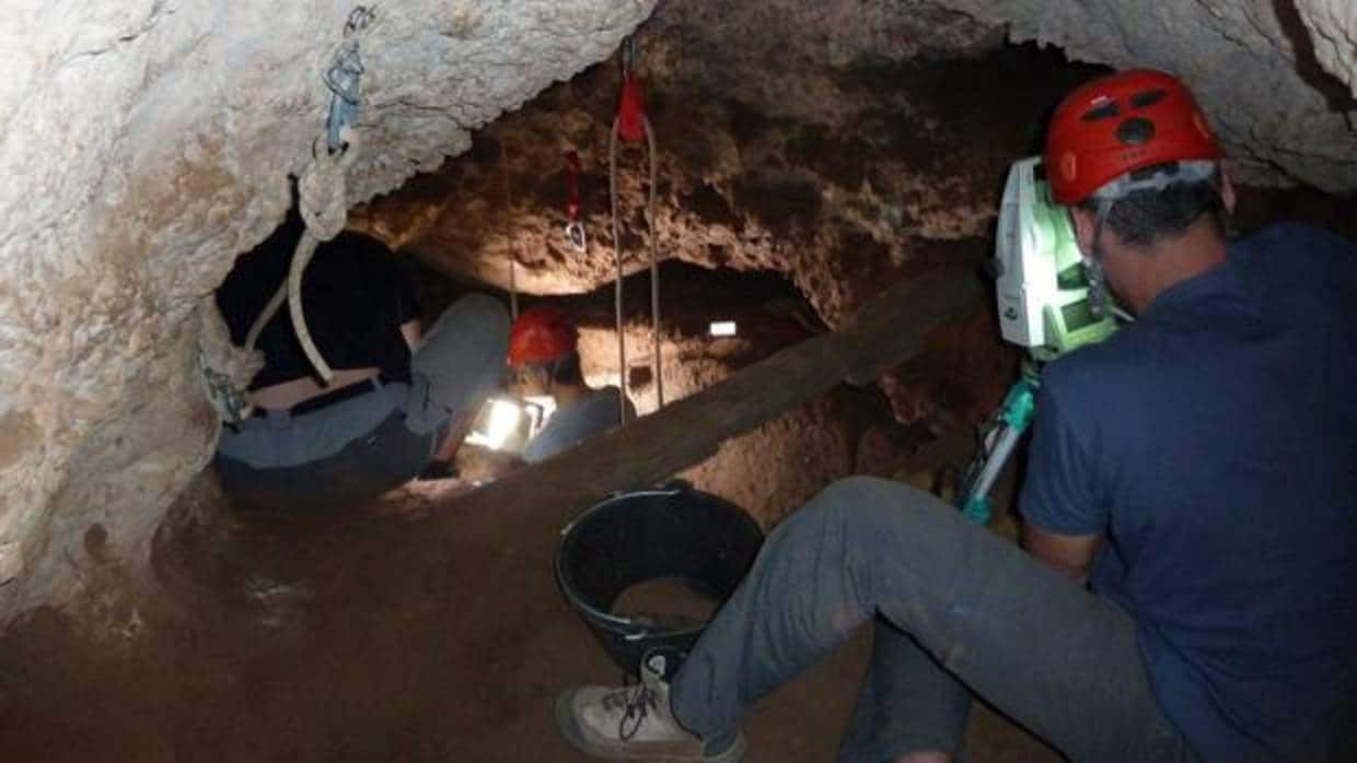 Investigadores trabajan en la Cueva de los Torrejones, en Tamajón (Guadalajara)