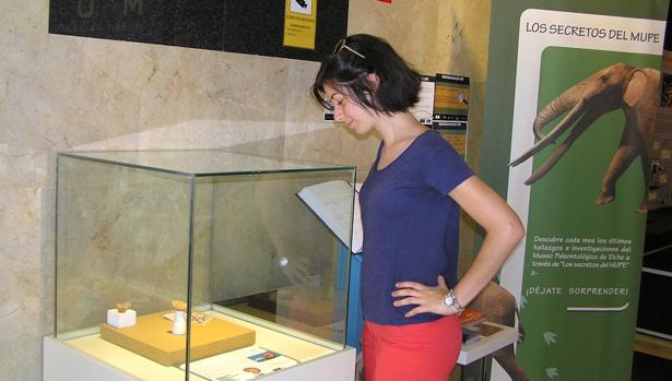 Una estudiante de Geología halla fósiles de hace 66 millones de años en un contenedor de basuras