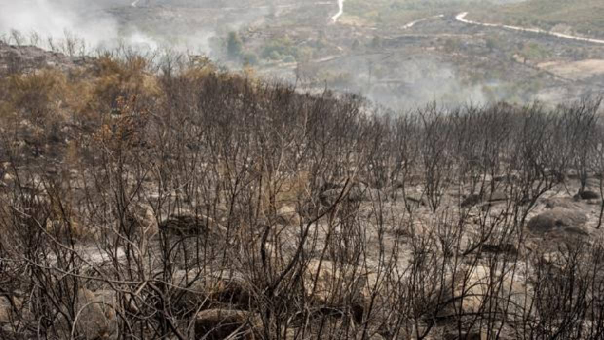 Montes orensanos arrasados por el fuego, en una imagen de archivo