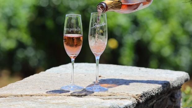 El conflicto catalán abre de nuevo la puerta a los espumosos de la región