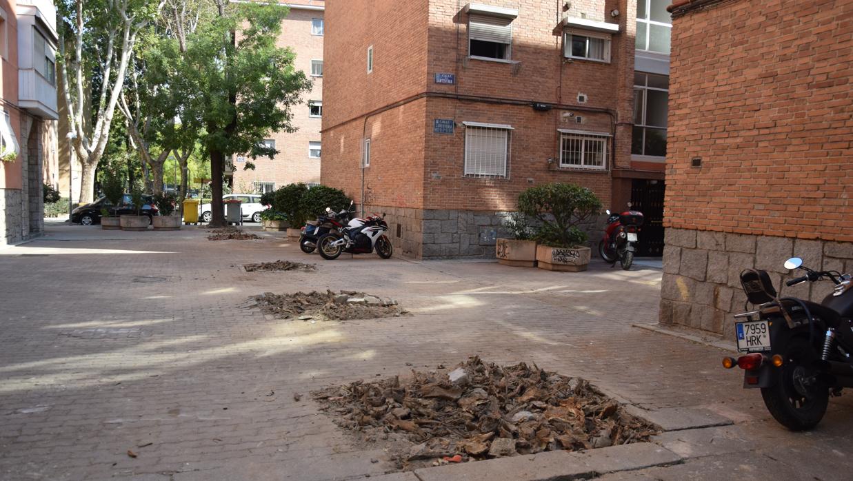 Algunos árboles ya han sido arrancados de sus jardineras