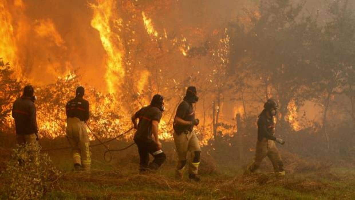 Operarios de los servicios de extinción de incendios trabaja en la zona de Zamanes, Vigo