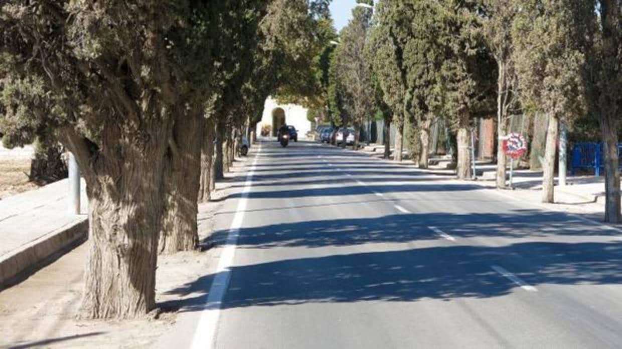 Vial de los cipreses, acceso al cementerio de Alicante