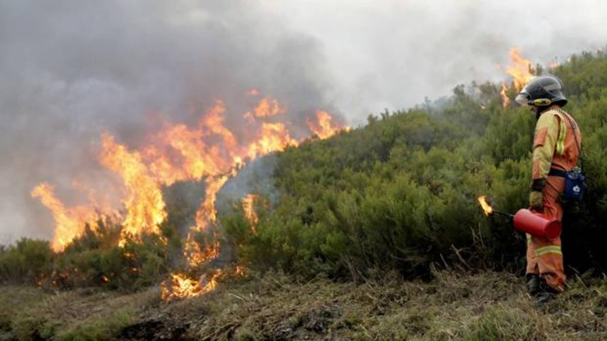 Brigadista ante las llamas de uno de los incendios de este fin de semana