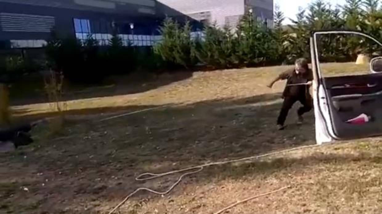 Vídeo: Un jabalí ataca a los hombres que lo rescataron de una balsa en el parque tecnológico de Álava