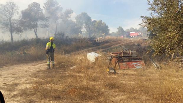 Un incendio calcina 7-500 metros cuadrados de monte de la localidad valenciana de Andilla