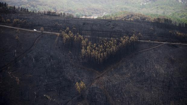 Miles de personas marchan contra los incendios