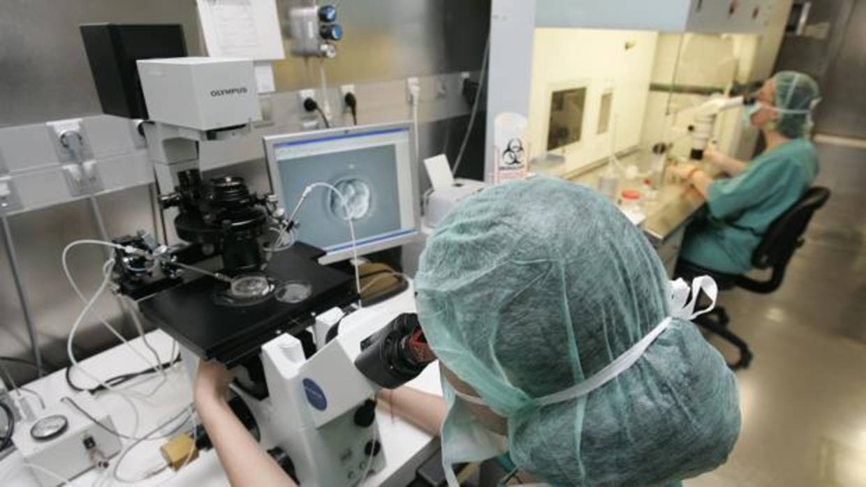 Imagen de archivo de dos médicos trabajando en un laboratorio de Valencia