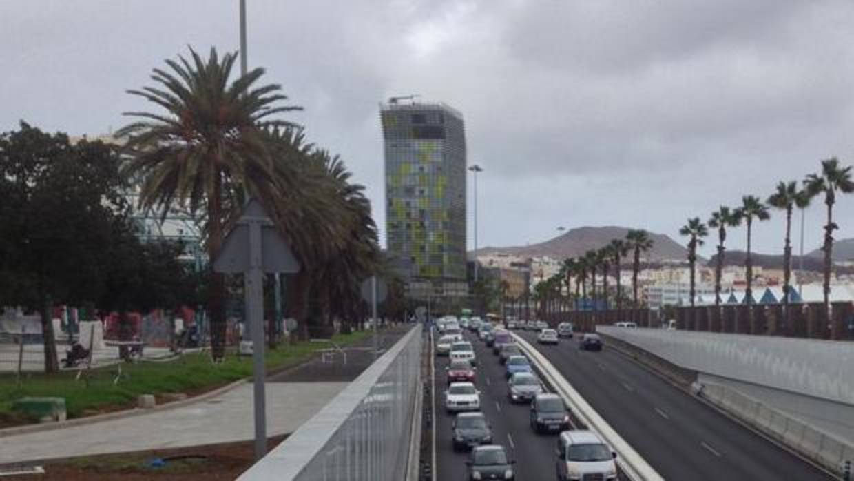 La capital grancanaria pone guapas a sus palmeras