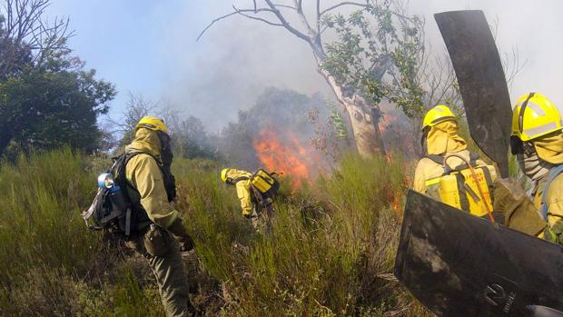 La Junta activa el periodo de peligro medio por incendios en Ávila, León, Salamanca y Zamora