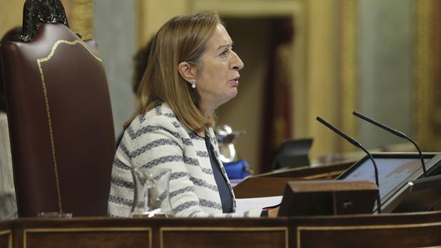 El PNV pide a Pastor que aplace, sin fecha, la constitución de la comisión territorial del Congreso