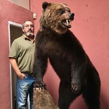 Juan Carlos Khoury, experto taxidermista fundador de Arte y Hueso