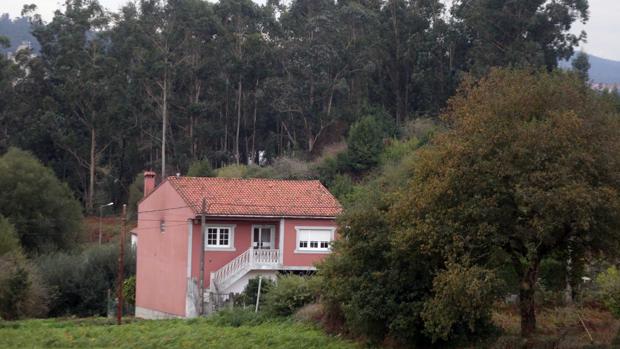 Los límites al eucalipto se endurecen para alejar los incendios de las casas