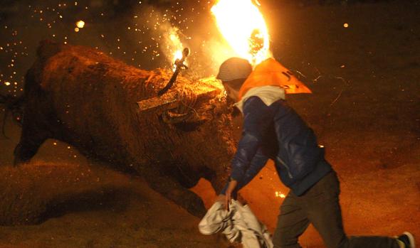 La Guardia Civil se prepara ante la previsión de que haya disturbios por el Toro Jubilo de Medinaceli