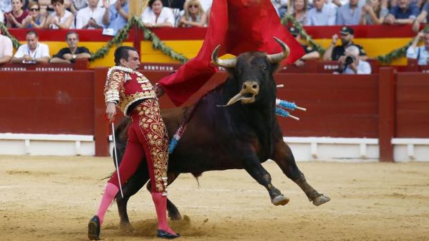 Alicante seguirá celebrando corridas de toros al abandonar el gobierno local Compromís