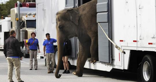 Transporte de un circo en Estados Unidos