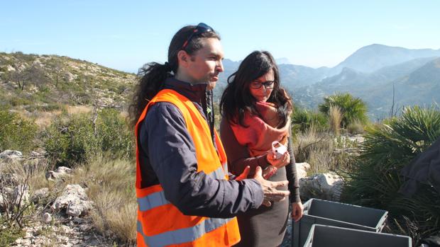 Hidraqua y Aquae amplían la reforestación de la zona calcinada por el incendio de Pego en 2015