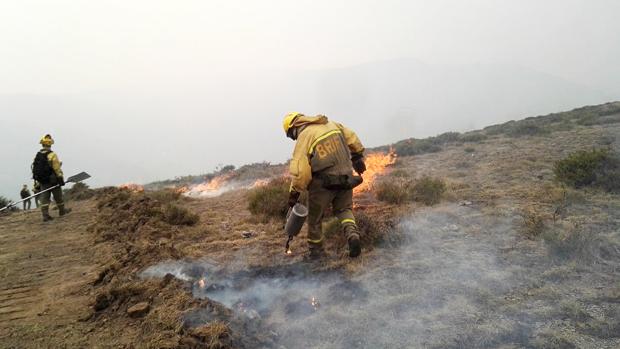 Los incendios provocados se «disparan» en el año más seco y queman 34.000 hectáreas