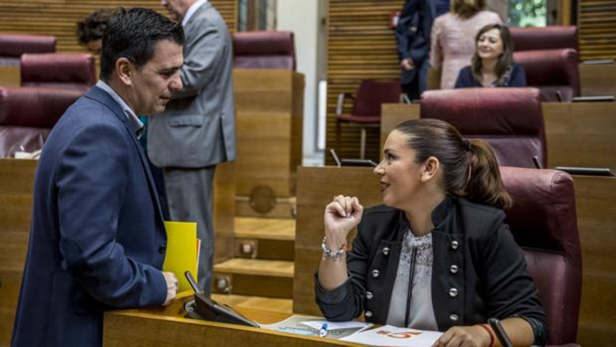 Mari Carmen Sánchez y Toni Subiela, en las Cortes