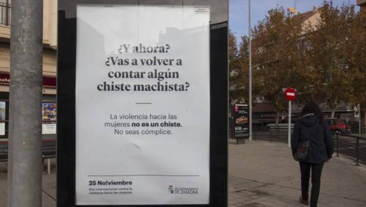 Los nuevos carteles lucen desde ayer por las calles de Zamora