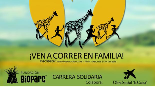 «Última llamada» para inscribirse en la
5ª Carrera en Manada de Bioparc Valencia