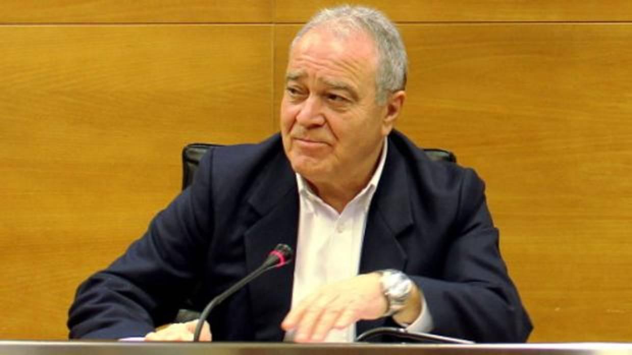 Miguel Gracia, presidente de la DPH
