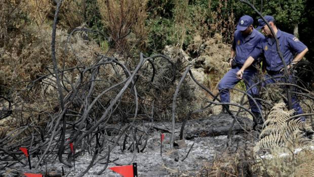 Policías Nacionales examinan un terreno calcinado por un incenedios en Amres (La Coruña)