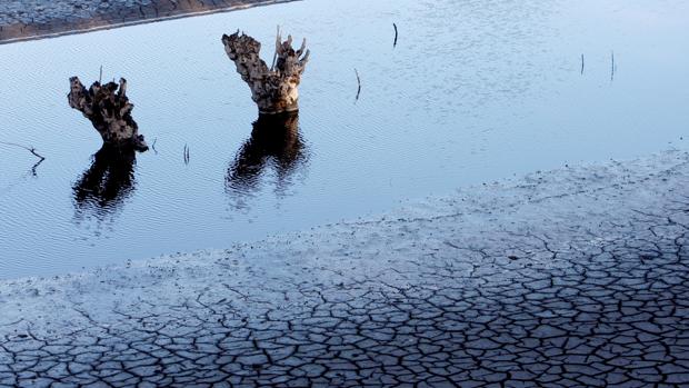 Galicia, al borde de la emergencia por sequía