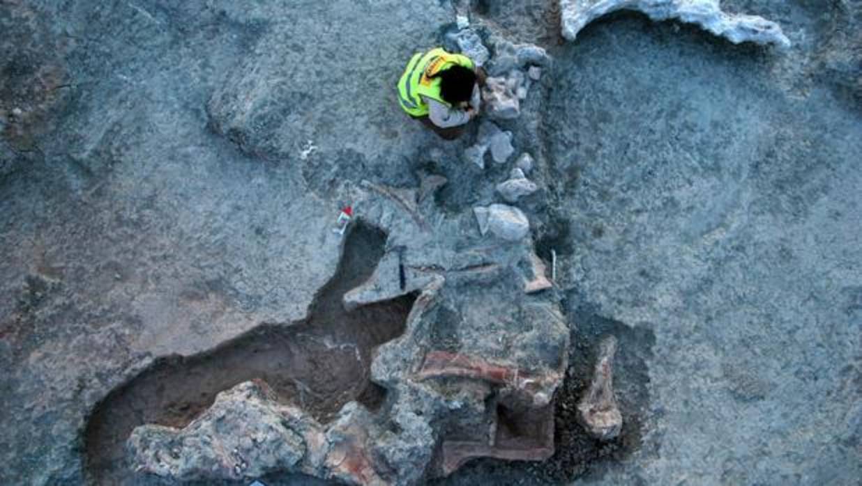 Una investigadora trabaja en uno de los restos encontrados en el yacimiento de Lo Hueco