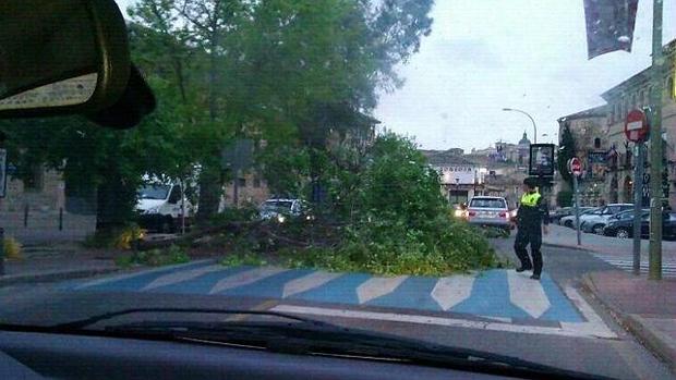 Policía, Bomberos y Protección Civil de Toledo, en alerta por los fuertes vientos