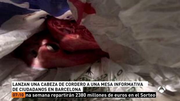 Dejan una cabeza de cordero en una mesa informativa de Ciudadanos en Barcelona