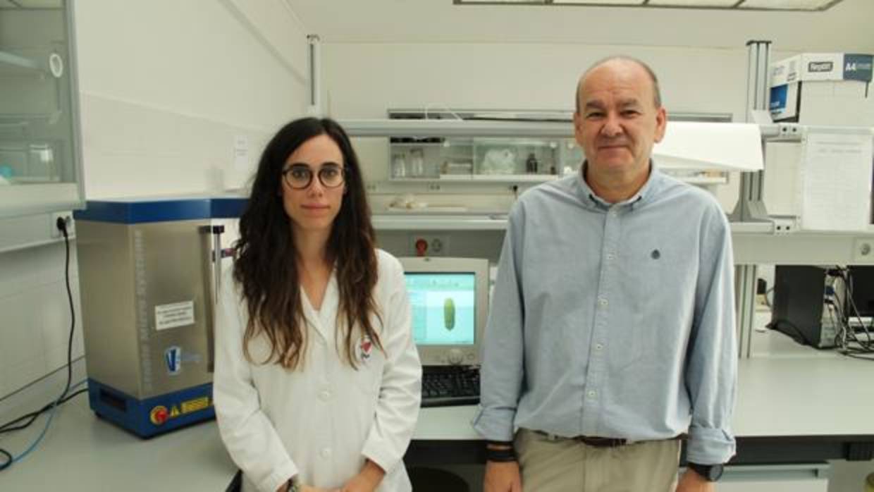 Laura Román y Manuel Gómez, responsables de la investigación realizada en el campus de Palencia