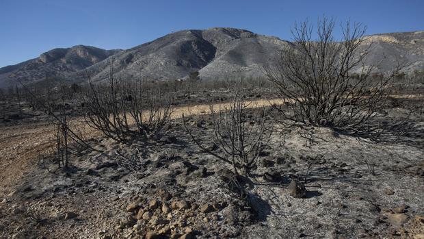 El incendio de Culla ya está estabilizado tras arrasar más de 400 hectáreas en 24 horas