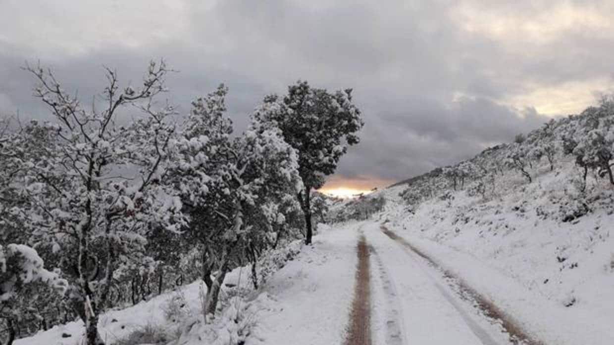 La nieve llega a Cuenca, Guadalajara y Toledo