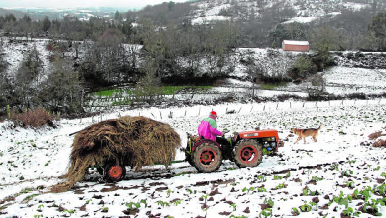 Un hombre trabaja con un tractor en Castro de Cuiñas (Lugo)